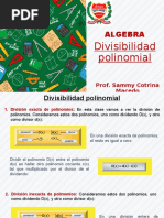 Divisibilidad Polinomial