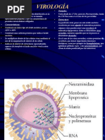 Clase 12 Virología