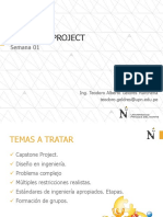 CAPSTONE PROJECT - Semana 01 PDF