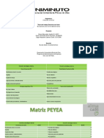 Actividad 6 Matriz Peyea