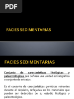 Facies Sedimentarias