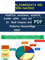 Atencion Inmediata Del RN 2020