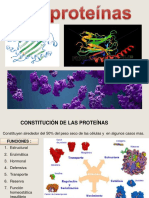 PROTEÍNAS