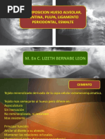 Composicion de Dentina Cemento y Hueso