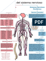 Esquema Sistema Nervioso
