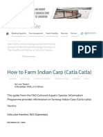  Indian Carp (Catla Catla)