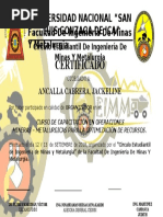 Certificado Organizador