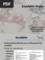 Encefalitis Viral Equina