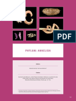 4 Field Guide To SA Offshore Marine Invertebrates - Phylum Annelida