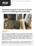 Artemisia Annua de Canarias - La Planta Contra El Covid19 Que Hay en Las Islas - Eleconomista - Es PDF