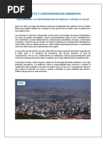 Impacto y Contaminacion Ambiental-1