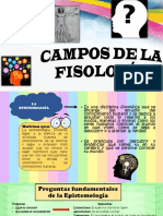 4.d. Campos de La Filosofia