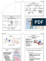 NEUROANATOMIA USAMEDIC 2019 DR CORREA Alumno