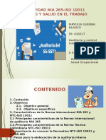 Auditoria CARTILLA 2