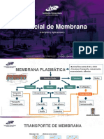 Potencial de Membrana