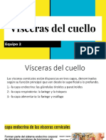 Visceras Del Cuello PDF