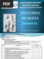 ANATOMIA SEMANA 1 X