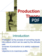 Production Theory