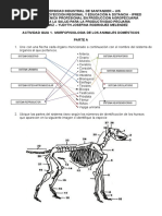 YUDITH Actividad GUIA 1 MORFOFISIOLOGIA ANIMAL