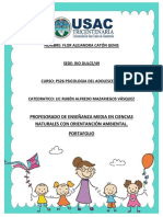 Portafolio Psicologia Del Adolescente