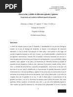 Observación y Análisis de Diferentes Gónadas y Gametos