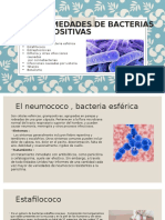 Enfermedades de Bacterias Granpositivas