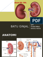 Penyuluhan Batu Ginjal