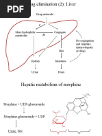 025b Metabolism