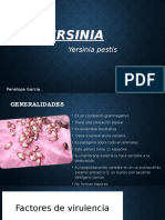 Yersinia Pestis