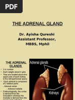 ADRENALS