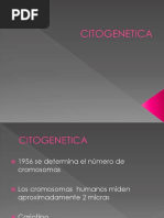 Citogenetica