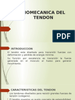 BIOMECANICA DEL TENDON Erick