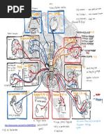 Summary Cranial Nerves Image