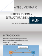 Semana 1 Estructura de La Piel