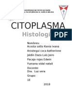 CITOPLASMA Informe