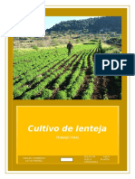 Cultivo de Lenteja