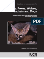 Canids-Foxes Wolves Jackals and Dogs443