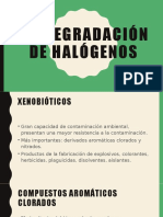 Degradación de Halógenos y Biorremediación