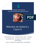 7 Método de Ballard y Capurro