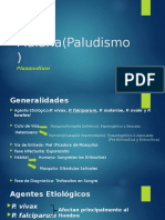 Malaria (Paludismo)