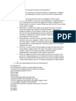 Cuáles Son Las Partes y Funciones Del Sistema Musculoesquelético