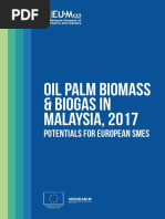 Oil Palm Biomass & Biogas in Malaysia, 2017: Potentials For European Smes