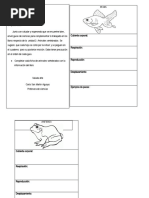 Ciencias Segundo, Animales Vertebrados