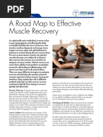 A Road Map To Effective Muscle Recovery PDF