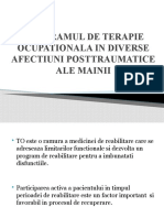 Programul de Terapie Ocupationala in Diverse Afectiuni Posttraumatice