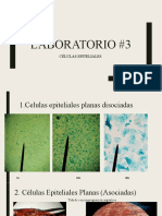 Laboratorio #3