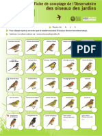 Fiche Comptage Oiseaux PDF