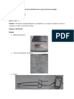 Informe Cuerpo Irregular