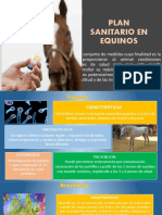 Plan Sanitario en Equinos