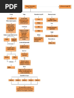 Mapa Conceptual Grancolombianidad